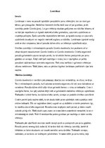 Summaries, Notes 'Lamblioze', 1.