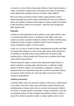 Summaries, Notes 'Lamblioze', 6.
