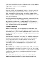 Summaries, Notes 'Lamblioze', 8.