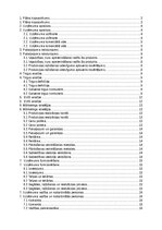 Business Plans 'SIA “Greater than one” 
Biznesa plāns', 2.