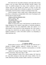 Business Plans 'SIA “Greater than one” 
Biznesa plāns', 4.