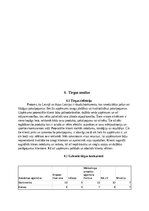 Business Plans 'SIA “Greater than one” 
Biznesa plāns', 9.