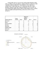 Business Plans 'SIA “Greater than one” 
Biznesa plāns', 11.