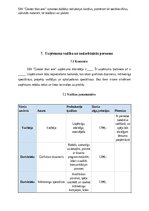 Business Plans 'SIA “Greater than one” 
Biznesa plāns', 16.