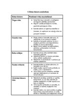 Business Plans 'SIA “Greater than one” 
Biznesa plāns', 19.