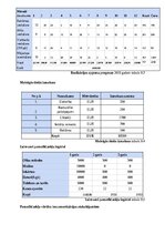 Business Plans 'SIA “Greater than one” 
Biznesa plāns', 21.