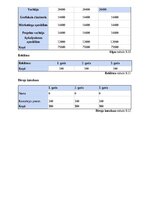 Business Plans 'SIA “Greater than one” 
Biznesa plāns', 23.