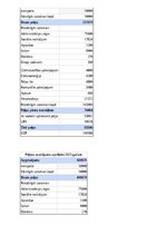 Business Plans 'SIA “Greater than one” 
Biznesa plāns', 27.