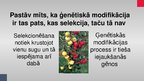 Presentations 'Ģenētiski modificēti organismi', 15.