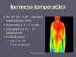 Presentations 'Termometri un temperatūra', 17.