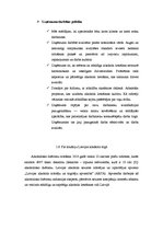 Research Papers 'AS "Latvijas balzams" stipro un vājo pušu novērtējums', 11.