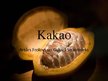 Presentations 'Kakao', 1.