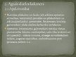 Presentations 'Latvijas aizvēsture', 27.