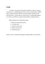 Research Papers 'SIA “Metāla izstrādājumu ražojumi” Praktiskais mājas darbs Uzņēmuma finanšu anal', 3.