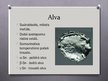 Presentations 'Alva un tās savienojumi', 2.