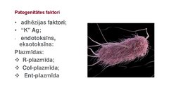 Presentations 'Escherichia coli mikrobioloģiskās diagnostikas principi', 3.