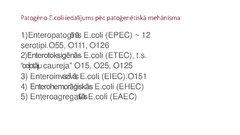 Presentations 'Escherichia coli mikrobioloģiskās diagnostikas principi', 6.