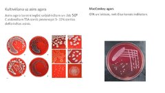 Presentations 'Escherichia coli mikrobioloģiskās diagnostikas principi', 10.