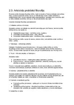 Summaries, Notes '''Rietumeiropas morāles filozofija'' konspekts', 6.