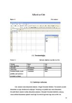 Research Papers 'Microsoft Office un OpenOffice.org lietojumprogrammu salīdzinājums', 20.