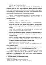 Term Papers 'ES strukturālie fondi un to darbība Latvijā', 25.