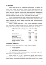 Research Papers 'Gaisa kvalitātes, trokšņa un atkritumu apsaimniekošanas situācija Liepājas pilsē', 13.