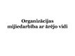 Presentations 'Organizācijas vide', 1.