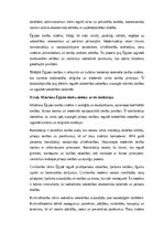 Essays 'Ēģiptes tiesības', 2.