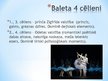 Presentations 'Pēteris Čaikovskis "Gulbju ezers"', 5.