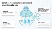 Presentations 'Aspartāts', 5.