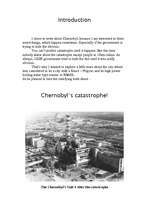 Research Papers 'Chernobyl', 2.