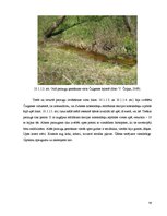 Research Papers 'Dabas apsaimniekošanas plāns "Subates ezeru sistēma"', 54.