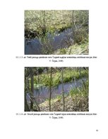 Research Papers 'Dabas apsaimniekošanas plāns "Subates ezeru sistēma"', 55.