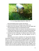 Research Papers 'Dabas apsaimniekošanas plāns "Subates ezeru sistēma"', 60.