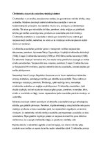 Essays 'Cilvēktiesību aizsardzība mūsdienu tiesiskajā sistēmā', 1.