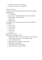 Summaries, Notes 'Organizēšanas pamati. Organizācijas struktūras veidošana. Organizēšanas būtība', 4.
