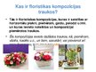 Presentations 'Floristiskas kompozīcijas traukos', 2.