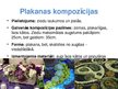 Presentations 'Floristiskas kompozīcijas traukos', 4.