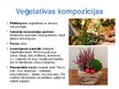 Presentations 'Floristiskas kompozīcijas traukos', 9.