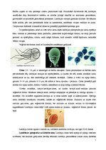 Research Papers 'Medicīniskā parazitoloģija', 7.
