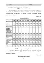 Business Plans 'Бизнес план нового предприятия SIA "Cargo.lv"', 23.
