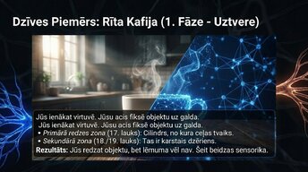 Presentations 'Smadzeņu arhitektūra - sensorās, asociatīvās un motorās zonas', 4.
