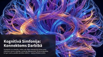 Presentations 'Smadzeņu arhitektūra - sensorās, asociatīvās un motorās zonas', 7.