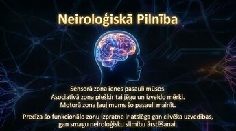 Presentations 'Smadzeņu arhitektūra - sensorās, asociatīvās un motorās zonas', 13.