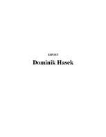 Summaries, Notes 'Dominik Hasek', 1.