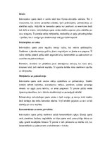 Essays 'Individuālais sports un pašdisciplīnas attīstība skolēniem', 1.