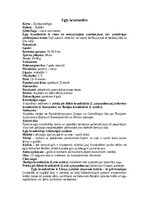 Summaries, Notes 'Krustknābji', 6.