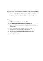 Essays 'The Latest European Union Enlargement and Constitutional Treaty', 1.