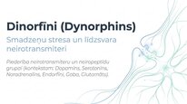 Presentations 'Dinorfīni', 1.