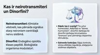 Presentations 'Dinorfīni', 2.